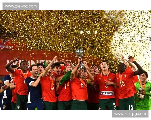 激情碰撞，历史传承：欧洲杯瑞典vs比利时，一场不容错过的足球盛宴